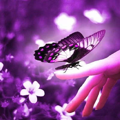 fire_blazi45659's profile picture. 