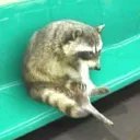 EthJaron20051's profile picture. 