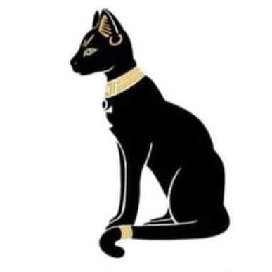 zszszszsew's profile picture. 