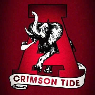 BernardMorrmb's profile picture. 