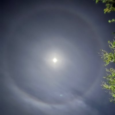 kkaymccc's profile picture. #massformationpsychosis