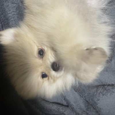 ヘアメイク、衣装、フライヤー、撮影などのお手伝いをさせていただいた方をたまにフォロー、リポイストさせていただいていきます。スタッフもしてるです。
