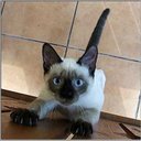 Sofron Midkiff - @SofronM85635 - Twitter