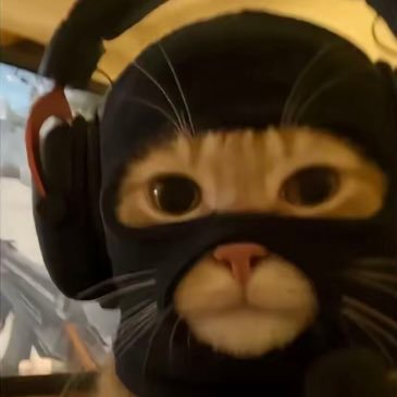 sorryigoplangs's profile picture. F*CK THE BAD VIBES