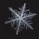 Robin Barnett - @PBandBama - Twitter