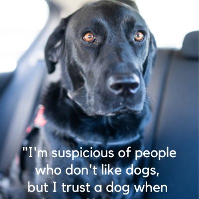 JackLeonar85932's profile picture. 