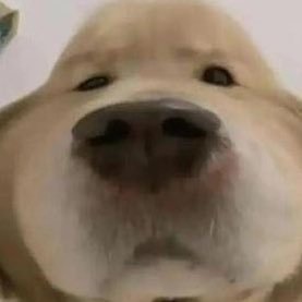 _rozenwhite_'s profile picture. E A R N E A R N