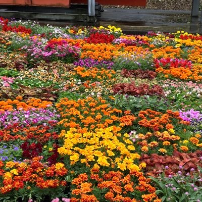 tosahatikin's profile picture. 高知の自然が好きです🌈家庭の大切さを意識しています💞自閉症の娘、車椅子生活60年の大ベテラン姑との4人家族🤗 信教の自由を応援しています。スパイ防止法必要‼️少しおっちょこちょいな所も😅 看護師 DMお返事できません🙇‍♀️