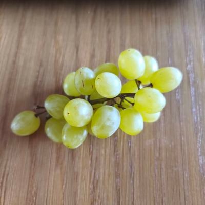 fikkumikku's profile picture. Foliarz, szur🤖 Patriotka 🇵🇱 Gardzę zdrajcami i pejsami. Anty .
Team🧯