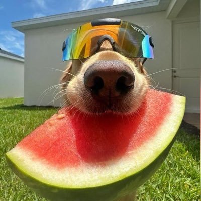 kanyelover_9999's profile picture. Italy