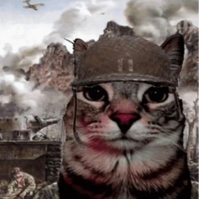 White_And_Mild's profile picture. Views are my own