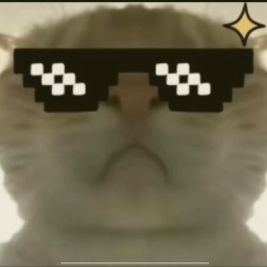 oboert15612's profile picture. 