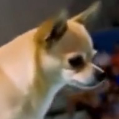 japan_dream_m's profile picture. 裏金と中国と利権まみれの政治家たちを見てると、生まれ育った日本が嫌いになりそうです。無党派ですが保守政党を応援しています。 そして自民党のクソ左翼議員を心の底から地獄に落ちて欲しいと願っています。  高市総裁おめでとうございます！！！