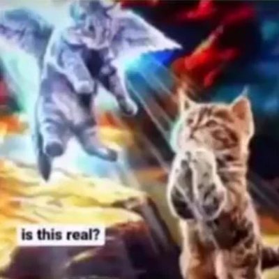 publicyurinal's profile picture. main is @givemeatailjob i needed a main backup Hello!