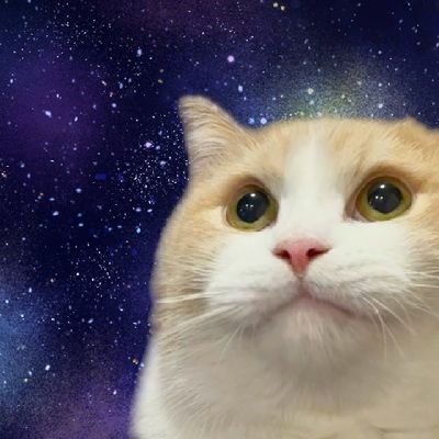 ずりさんのプロフィール画像
