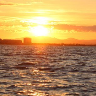 RajaBabu1917306's profile picture. 