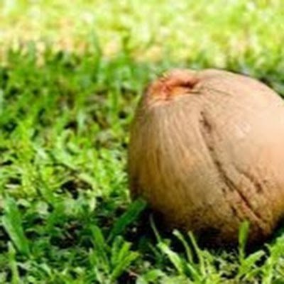 RK3215383773166's profile picture. 