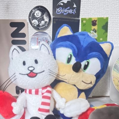 tesenoo's profile picture. 金欠 ヒーローズとシャドゲと新ソニとワルアドやりたい 大きくなって今年からまたソニック沼った