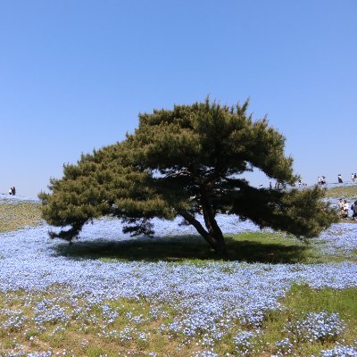 色々疲れてきたKS沿線民さんのプロフィール画像