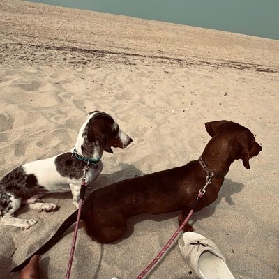 @rociiitomh_16 Extrémeña en tierras salmantinas 💚🤍🖤 💫 La vida no es un problema para ser resuelto, es un misterio para ser vivido⚡️