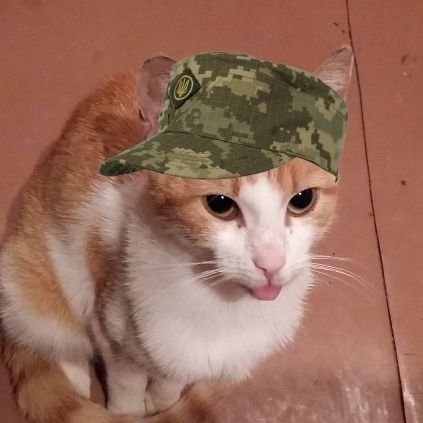 kit_ryboyid_2's profile picture. колись тут був, мед-пиво пив, тепер не п'ю, бо в ЗСУ