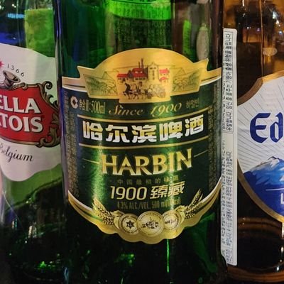 Library_Harbin's profile picture. 타임라인의 시대착오자