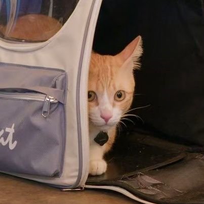 pedmushroomza's profile picture. 🏳️‍🌈Fight for the future. MilkLove 💚🩷🧡. Kiki 许佳琪. 
K-pop .Highlight. Sometimes, I cheer up other trainees
#คิดสิคะกินอะไรดี my cooking
#reviewthemenu