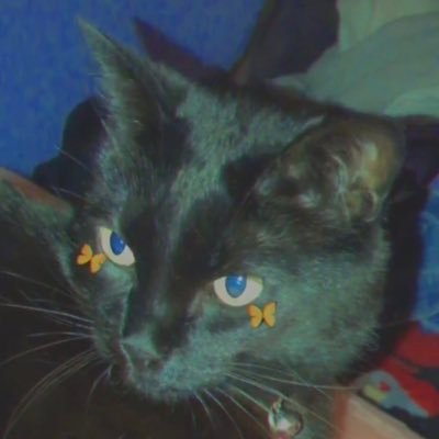 end stage borderline personality disorder / they/them 27