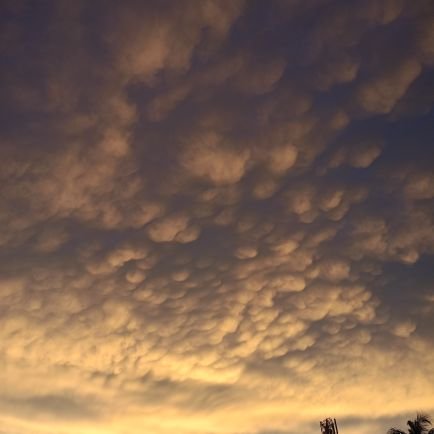 NandiSoura47313's profile picture. 