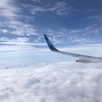 あ (@a07ki_nako) 's Twitter Profile