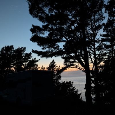 MiguelR76819049's profile picture. 