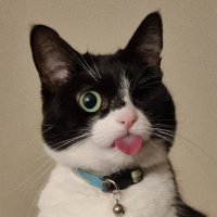 pickle (@pickleisicky) 's Twitter Profile Photo pickle (@pickleisicky) 's Twitter Profile Photo