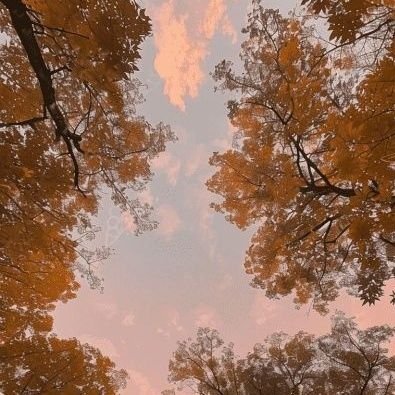 ZazeeAlly's profile picture. 