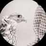 almohrah110's profile picture. ما فات خله ولا تهتم من باكر…وأغنم من اليوم ما ساقت توافيقه👌👌👌 🕊الخاص ممنوع ⚠️