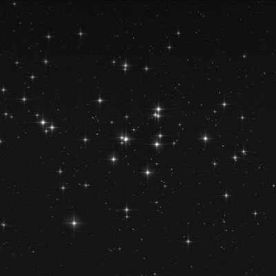 star1s1x's profile picture. 