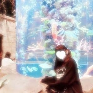 chii58067094836's profile picture. 19  156cm  安定さん募集  一緒にお泊りとかしたい  かまってちゃん  いろんな人と絡みたいです