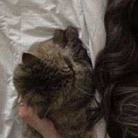 F (@f_ria0) 's Twitter Profile