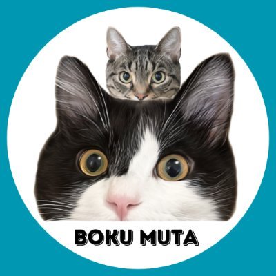 『あるひ、我が家にハチワレ猫がやってきたー。』🐈ハチワレ猫:ムタ/🐈中足マンチカン:バロン (にぃに)📚成長記録&にゃんずのドタバタ劇を【多頭飼い歴1年生】のあるじの葛藤とともに発信🫧|無言フォロー大歓迎🌱 DMは基本返しません(封鎖検討中)🙅♀️YouTube➡︎毎週【金曜18時】更新🔗 #ぼくむた