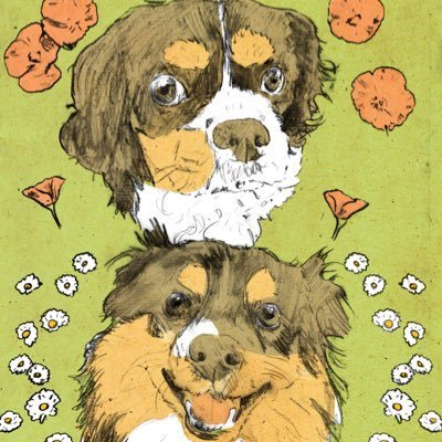 FamilySidr23702's profile picture. parody account || Fans account ❣️