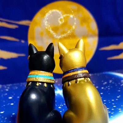 🐈‍⬛🌈-香-🦊🐈‍⬛さんのプロフィール画像