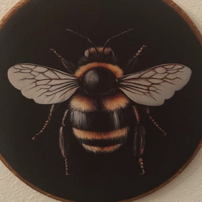 montana66493's profile picture. 