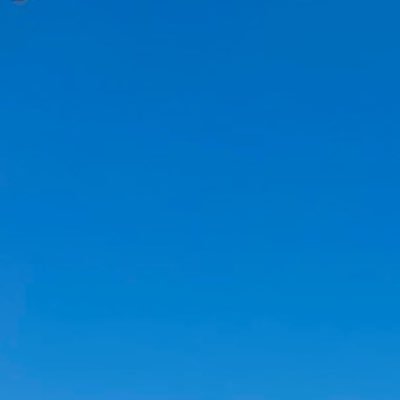 sassyginger's profile picture. 