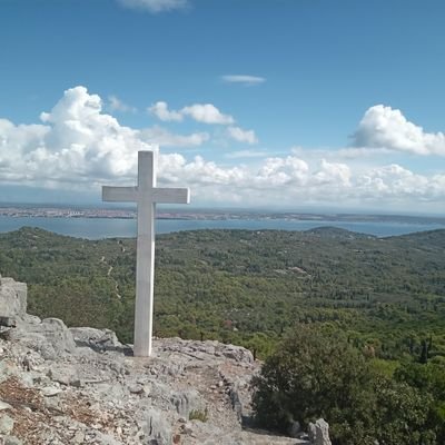 Dont49805744493's profile picture. 