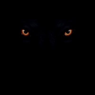 OneLastVoyage's profile picture. “One last voyage — the end writes itself in blood.”