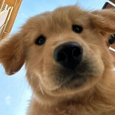 i1hmmm's profile picture. GG B