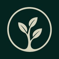 Treevie 🌱 (@treevieteam) 's Twitter Profile