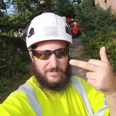 TreetrimmerB's profile picture. 