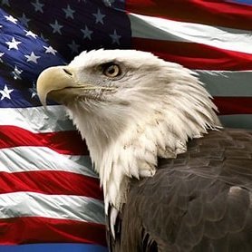 CoastalOne1776's profile picture. America First. Trump/Vance 2024 Save our kids, save our country. Make America Great Again IFBAP DM's will not be acknowledged, but thanks anyway. Freedom!