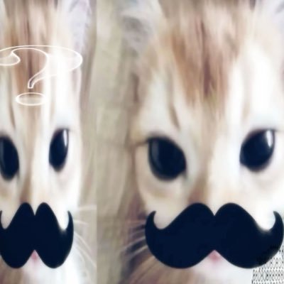 alicetizia's profile picture. 