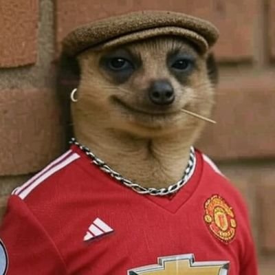 y_joshe32's profile picture. Manchester United forever ❤️| Content creator 💻| web3 enthusiast 👨🏿‍💻|zodiac sign 💲